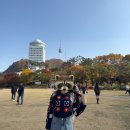 남산공원길1 | [서울 회현동] 남산공원 백범광장| 단풍 명소 성곽길 포토존 주차장