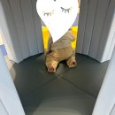 반짝 반짝 창의놀이 2 | 👶🏻 서울형 키즈카페 양천구 신월5동점 방문 후기