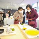 개 in 살롱 이미지