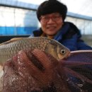 별밤하우스 이미지