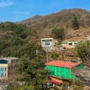 금식농장 이미지