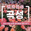 전남 곡성 세계장미축제 방문 후기(개화상황, 주차, 입장료 등)