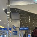 탑마트 앞 횡단보도 | 대마도 히타카츠 당일치기여행 : 팬스타 쓰시마링크호/미도리 자전거대여/야마하치제과/밸류마트 쇼핑...