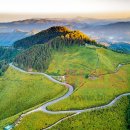 해피행정사사무소 이미지