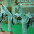 용인대삼일태권도 이미지