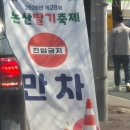 펫마트 강아지 논산점 | (논산여행)논산 딸기축제 다녀온 솔직 후기｜주차 지옥 + 인파 실화?