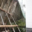 산호동365 이미지