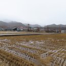 작은마치천 Daum카페