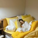 카카오원룸텔 - 서초구 동산로6길 47 | 카카오원룸텔