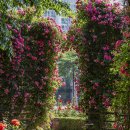 서천 장미공원 이미지