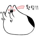 에너지샵 이미지