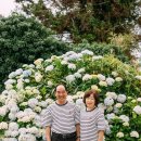 귤꽃스테이 이미지