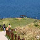 바람의언덕 - 무주군 오두재로 16 | 바람의언덕