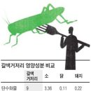 나방·개미·메뚜기 통조림… 곤충, 미래 식량의 寶庫 이미지