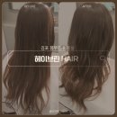 [김포/풍무동미용실]헤이브린, 레이어드컷 후기(feat.예지실장님)