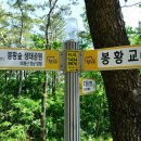 진주에나길 1코스 네이버블로그