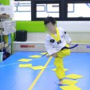 명품홍익태권도장 이미지