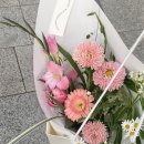 더소프터사이드