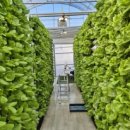 우림농장 이미지