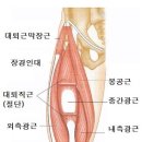 필라테스메소드