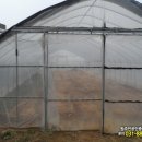 여주-0523 이미지