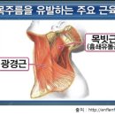 엔투슬림앤뷰티 네이버블로그