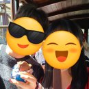 체코 프라하 블타바강 전통 보트 투어 후기 예약방법 위치 Prague Venice Boat Trip