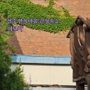 어보이