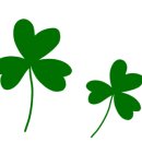 선우약국 이미지