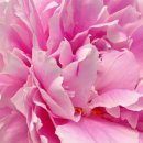 제일종합동물병원 이미지