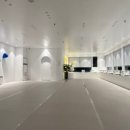 아웃독(OUT DOG) 이미지