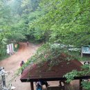 비래초등학교 이미지