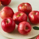 마실마트 이미지