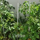 삿대질과아이들 이미지