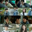 타임라인 bnt뉴스