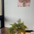 류즈포유 이미지