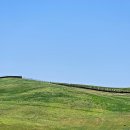 운용목장 이미지