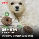 춤추는 도기넛 | 강아지자연식 도기넛 | 저지방 로우팻 미니 말 화식 단일단백질사료 추천