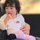 경기] 인천/김포 아이랑 주말 캠프닉-운양동 ’행복한체험캠핑장‘ | 주차, 이용가격, 후기, 반려동물 가능