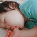 하도 로운이네 이미지