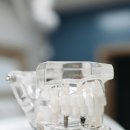 바른이정치과의원 이미지