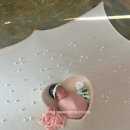 데시미늄BM산후조리원 이미지