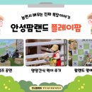 플레이팜