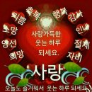 쎄종 | 세종 느좋 프렌치 레스토랑 [라쎄종] 내돈내산 재방문 후기 🥧🍖🍽️