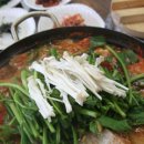 죽도명태대구