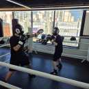 드래곤복싱클럽 백마점 이미지