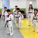 올바른i태권도 이미지