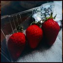 코너스톤작은도서관 | 다시 일년의 시작(북클럽 북클럽 독서모임 렛츠고~!)