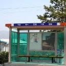 냉천 지초 Daum카페