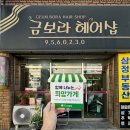 금보라미용실
